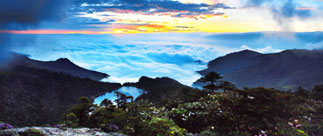 生物多樣性保護